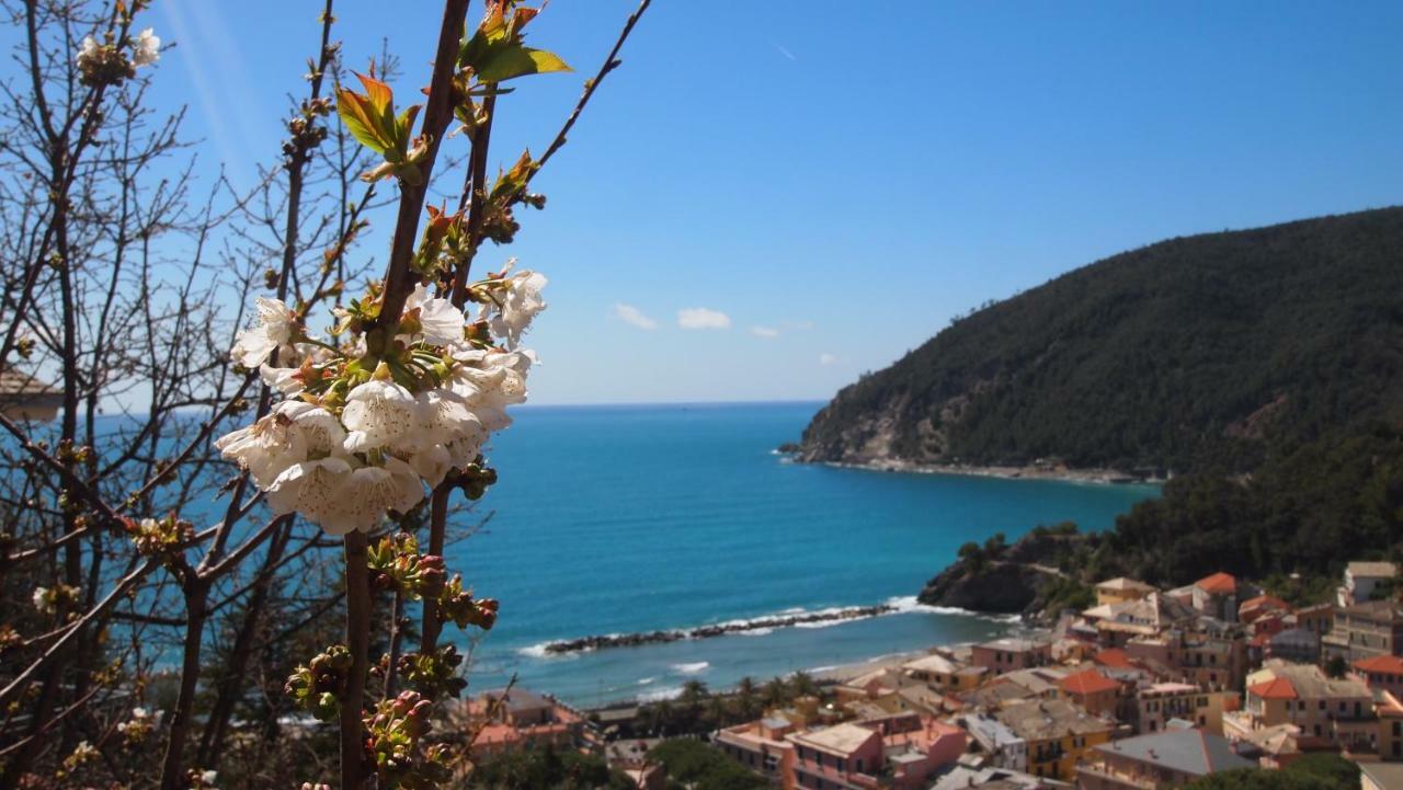 Hotel Piccolo Moneglia